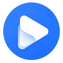 vid2vid logo