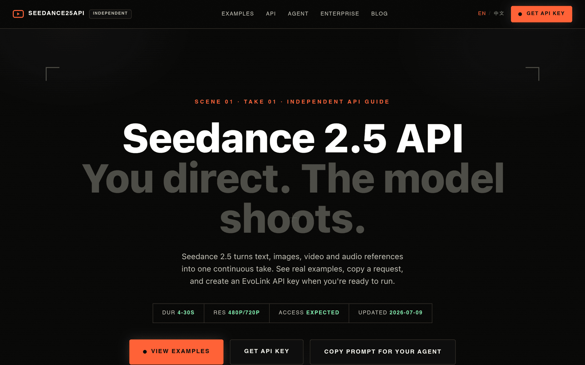 Seedance 2.5 API - Product Image