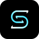 Seedance 2.5 Logo