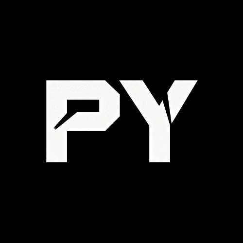 PoYo API logo