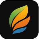 Hair Filter Logo