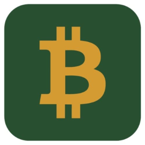 Bitcoin Loans Market logo